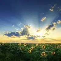 问不下，从萧山到河南周口市项城市是多少钱一吨