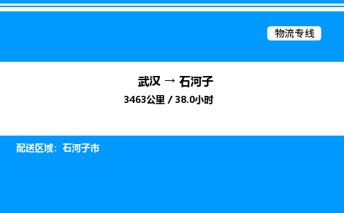 武汉到石河子物流专线-武汉至石河子货运公司