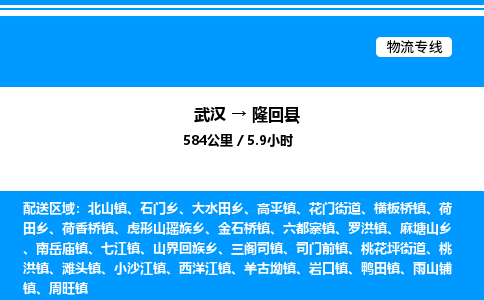 武汉到隆回县物流专线-武汉至隆回县货运公司