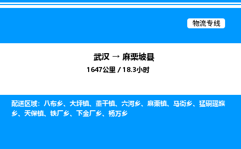 武汉到麻栗坡县物流专线-武汉至麻栗坡县货运公司