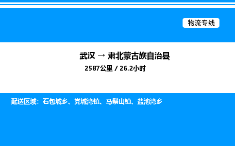 武汉到肃北县物流专线-武汉至肃北县货运公司